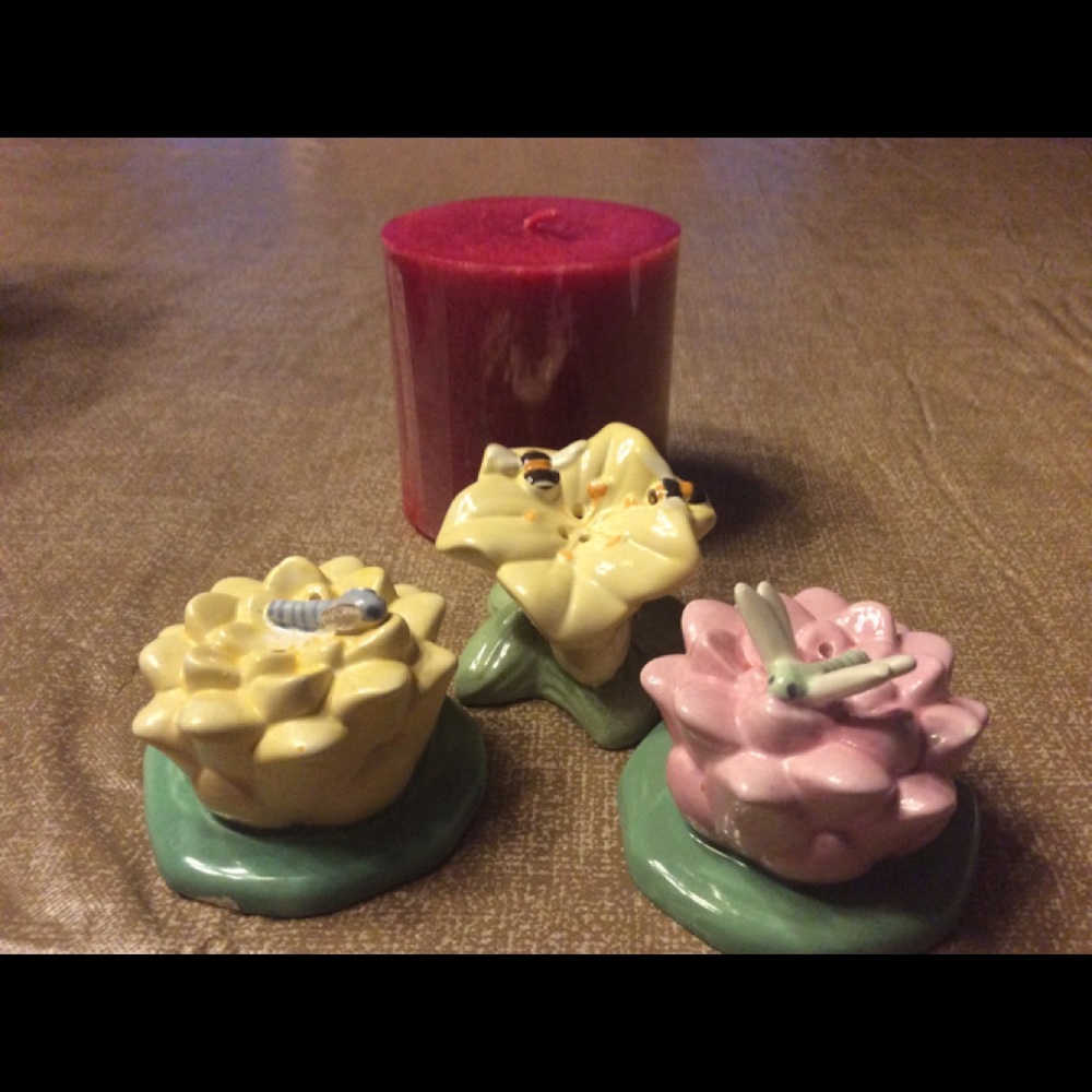 🌺 Lenox salt & pepper